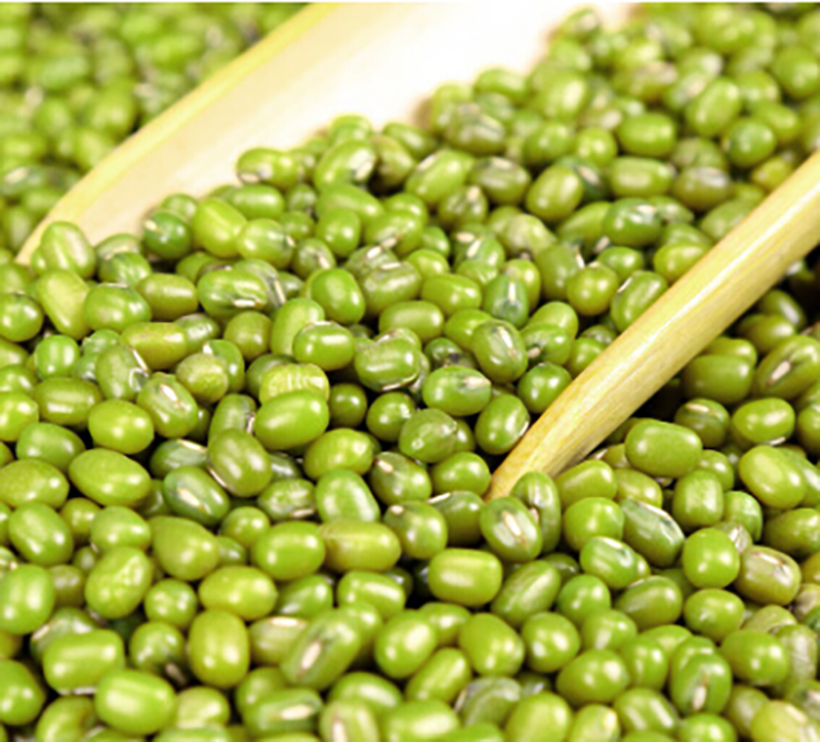 Mungbean